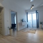 Rent Apartament Andree Studio Targu Mures
