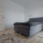 Rent Apartament Andree Studio Targu Mures