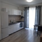 Apartamente Regim Hotelier Apartament cu 1 camera Targu Mures
