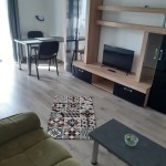 Apartamente Regim Hotelier Apartament cu 1 camera Targu Mures