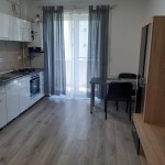 Apartamente Regim Hotelier Apartament cu 1 camera Targu Mures