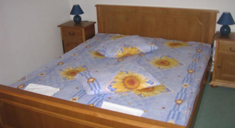 Hotel Darina Ungheni