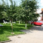 Pensiunea Doina & Jeno Targu Mures