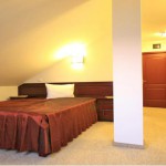 Pensiunea Flora Targu Mures