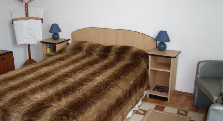 Vila Monica Targu Mures