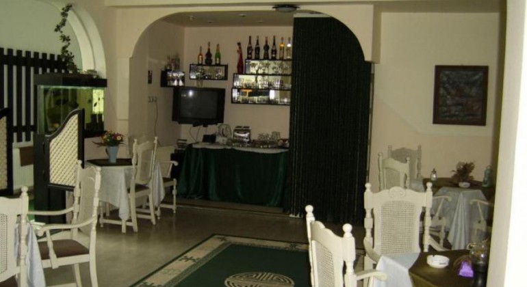 Vila Monica Targu Mures