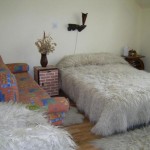 Vila Monica Targu Mures