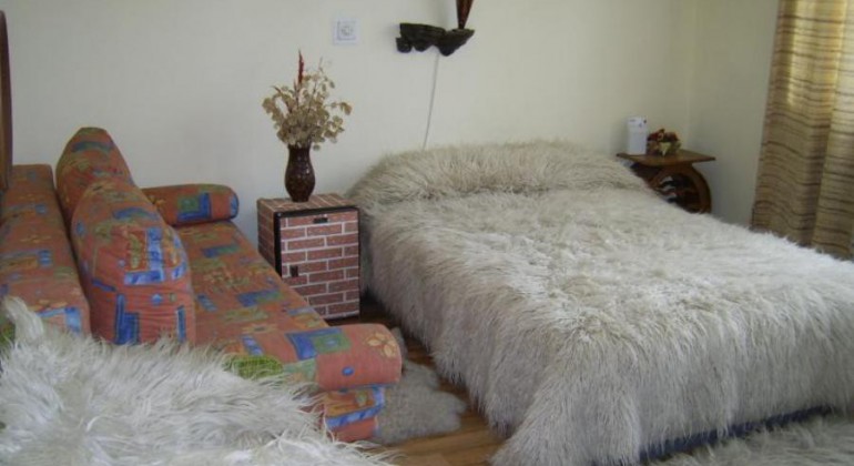 Vila Monica Targu Mures