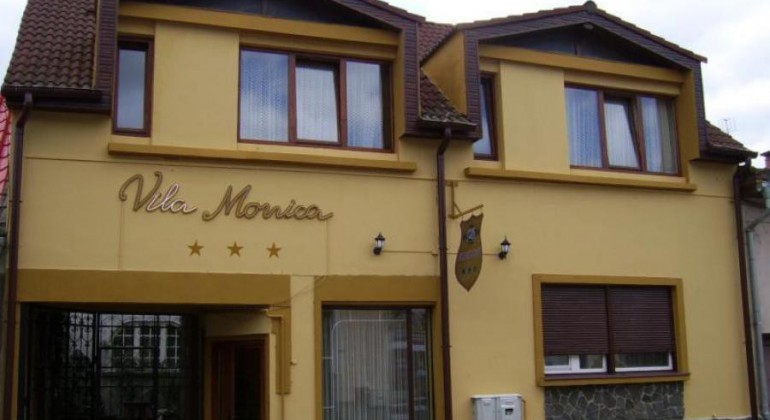 Vila Monica Targu Mures