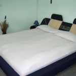 Vila Monica Targu Mures