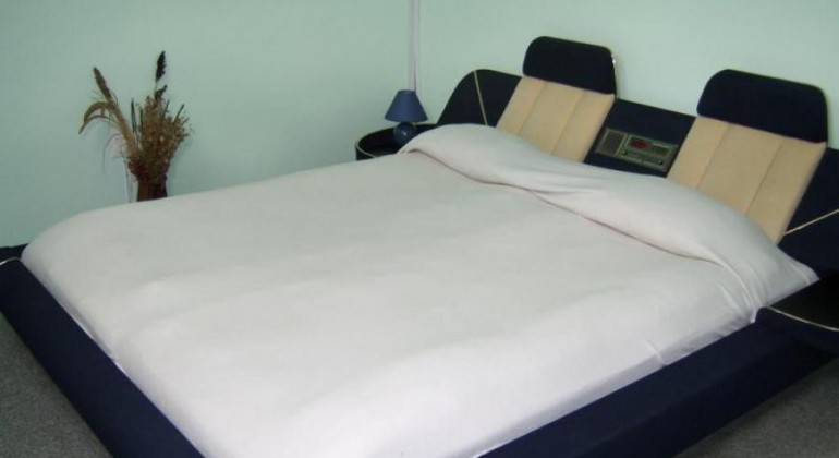 Vila Monica Targu Mures