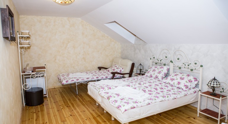 Pensiunea Country Court Curteni